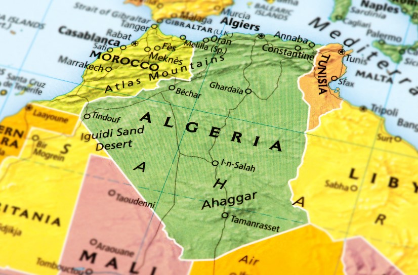 Cezayir İthalat Şirketleri Listesi
